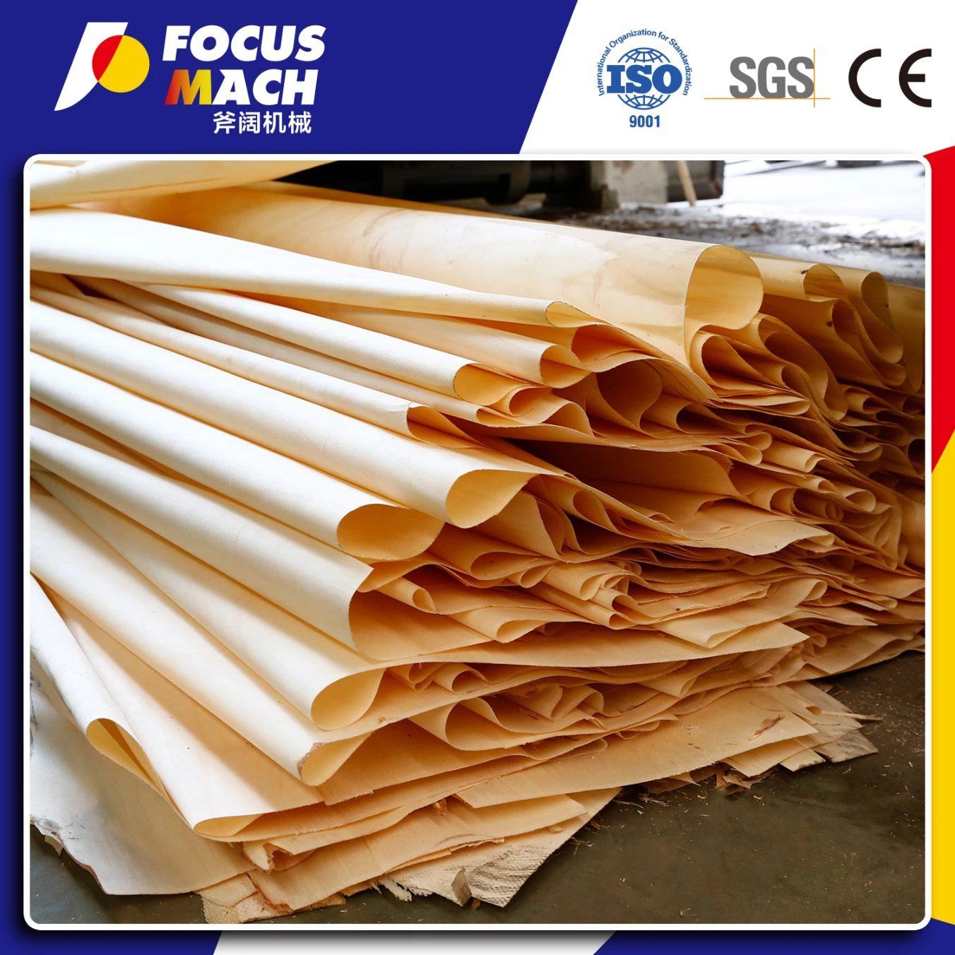 Shandong-Focus-Machinery-Co-Ltd- 10 Shandong-Focus-Machinery-Co-Ltd- 10